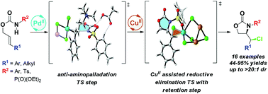 Graphical abstract: Regio- and diastereoselective Pd-catalyzed aminochlorocyclization of allylic carbamates: scope, derivatization, and mechanism