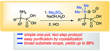 Graphical abstract: Synthesis and stability of 1-aminoalkylphosphonic acid quaternary ammonium salts