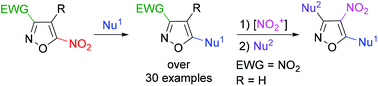 Graphical abstract: 5-Nitroisoxazoles in SNAr reactions: access to polysubstituted isoxazole derivatives