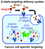 Graphical abstract: A triple-targeting delivery system carrying two anticancer agents