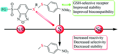 Graphical abstract: Investigation of thiolysis of 4-substituted SBD derivatives and rational design of a GSH-selective fluorescent probe