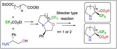 Graphical abstract: Synthesis of enantiopure α-Tfm-proline and α-Tfm-pipecolic acid from oxazolo-pyrrolidines and -piperidines