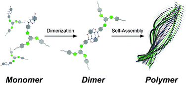 Graphical abstract: Solvent-directed formation of helically twisted stacking constructs via self-assembly of tris(phenylisoxazolyl)benzene dimers