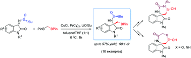 Graphical abstract: Highly diastereoselective entry to chiral oxindole-based β-amino boronic acids and spiro derivatives