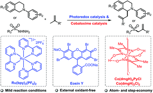 Graphical abstract: Photoredox/cobaloxime co-catalyzed allylation of amines and sulfonyl hydrazines with olefins to access α-allylic amines and allylic sulfones