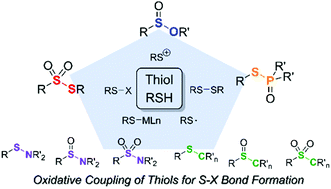 Graphical abstract: Oxidative cross-coupling of thiols for S–X (X = S, N, O, P, and C) bond formation: mechanistic aspects