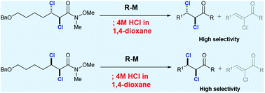 Graphical abstract: Efficient synthesis of α,β-dichlorinated ketones from α,β-dichlorinated Weinreb amides through a simple work-up procedure