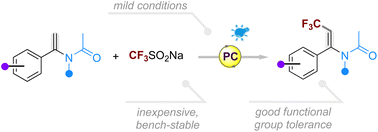 Graphical abstract: Visible-light-promoted olefinic trifluoromethylation of enamides with CF3SO2Na