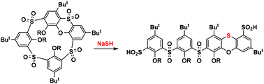 Graphical abstract: Nucleophile-induced transformation of phenoxathiin-based thiacalixarenes