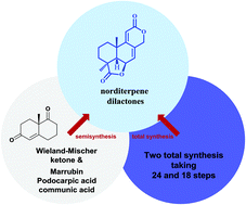 Graphical abstract: Total synthesis of bioactive tetracyclic norditerpene dilactones