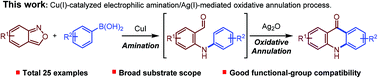 Graphical abstract: Access to acridones by tandem copper(i)-catalyzed electrophilic amination/Ag(i)-mediated oxidative annulation of anthranils with arylboronic acids