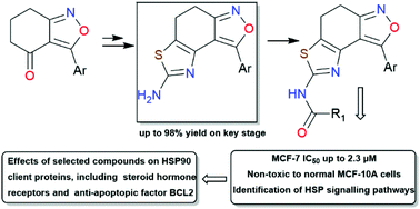 Graphical abstract: Effective synthesis of novel dihydrobenzisoxazoles bearing the 2-aminothiazole moiety and evaluation of the antiproliferative activity of their acylated derivatives