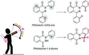 Graphical abstract: Transition-metal-catalyzed C–H bond activation/functionalization and annulation of phthalazinones