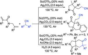 Graphical abstract: Selective divergent radical cyclization of 1,6-dienes with alkyl nitriles