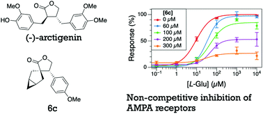 Graphical abstract: Synthesis and pharmacological characterisation of arctigenin analogues as antagonists of AMPA and kainate receptors