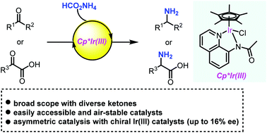 Graphical abstract: Direct reductive amination of ketones with ammonium salt catalysed by Cp*Ir(iii) complexes bearing an amidato ligand