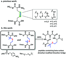 Graphical abstract: Chemical synthesis of disulfide surrogate peptides by using beta-carbon dimethyl modified diaminodiacids