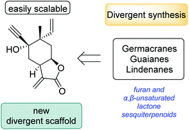 Graphical abstract: A multifunctional divergent scaffold to access the formal syntheses of various sesquiterpenoids