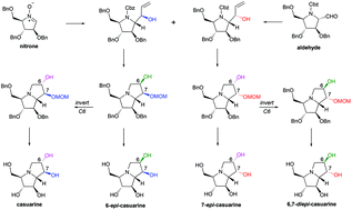 Graphical abstract: Stereocomplementary synthesis of casuarine and its 6-epi-, 7-epi-, and 6,7-diepi-stereoisomers