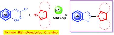 Graphical abstract: Copper-catalyzed synthesis of 1-(2-benzofuryl)-N-heteroarenes from o-hydroxy-gem-(dibromovinyl)benzenes and N-heteroarenes