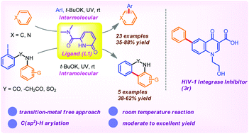 Graphical abstract: Organocatalytic synthesis of (Het)biaryl scaffolds via photoinduced intra/intermolecular C(sp2)–H arylation by 2-pyridone derivatives