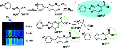 Graphical abstract: Photophysics, photochemistry and bioimaging application of 8-azapurine derivatives