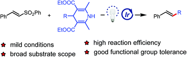 Graphical abstract: Visible-light-mediated alkylation of 4-alkyl-1,4-dihydropyridines with alkenyl sulfones