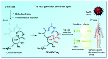 Graphical abstract: Toward the synthesis of the hypoxia selective anticancer agent BE-43547 A2