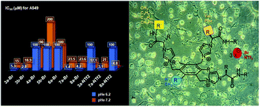 Graphical abstract: Structure–antitumor activity relationships of tripodal imidazolium-amino acid based salts. Effect of the nature of the amino acid, amide substitution and anion