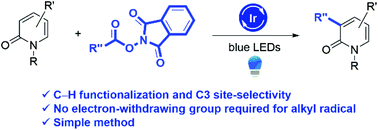 Graphical abstract: Visible-light-mediated decarboxylative alkylation of 2-pyridone derivatives via a C3-selective C–H functionalization