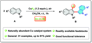 Graphical abstract: Synthesis of 3-halogenated 2,3′-biindoles by a copper-mediated 2,3-difunctionalization of indoles