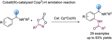 Graphical abstract: Cobalt(iii)-catalyzed C–H amidation of N,N-dialkyl thiobenzamides by sulfur coordination