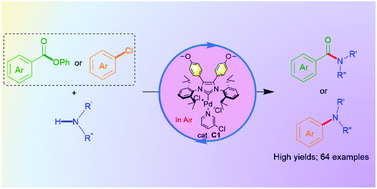 Graphical abstract: Buchwald–Hartwig amination of aryl esters and chlorides catalyzed by the dianisole-decorated Pd–NHC complex