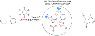 Graphical abstract: Understanding Cu(ii)-based systems for C(sp3)–H bond functionalization: insights into the synthesis of aza-heterocycles