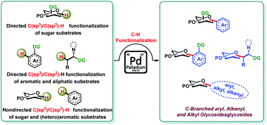 Graphical abstract: Recent advances in palladium-catalyzed C(sp3)/C(sp2)–H bond functionalizations: access to C-branched glycosides