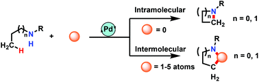 Graphical abstract: Construction of aziridine, azetidine, indole and quinoline-like heterocycles via Pd-mediated C–H activation/annulation strategies