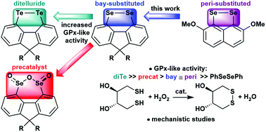 Graphical abstract: Glutathione peroxidase mimics based on conformationally-restricted, peri-like, 4,5-disubstituted fluorene dichalcogenides