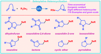 Graphical abstract: Time-economical synthesis of selenofunctionalized heterocycles via I2O5-mediated selenylative heterocyclization