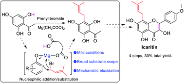 Graphical abstract: Magnesium dicarboxylates promote the prenylation of phenolics that is extended to the total synthesis of icaritin