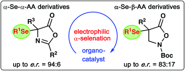 Graphical abstract: Enantioselective organocatalytic syntheses of α-selenated α- and β-amino acid derivatives