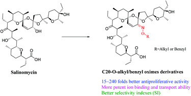 Graphical abstract: Synthesis and anti-tumor activity evaluation of salinomycin C20-O-alkyl/benzyl oxime derivatives