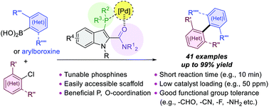 Graphical abstract: An indole-amide-based phosphine ligand enabling a general palladium-catalyzed sterically hindered Suzuki–Miyaura cross-coupling reaction