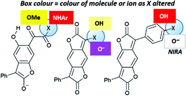 Graphical abstract: Colour and constitution of conjugate bases of benzodifurantrione, its ring-opened derivatives and benzodifuranone dye analogues