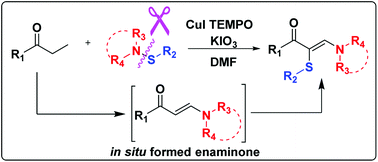 Graphical abstract: Copper-catalyzed direct sulfenoamination of saturated ketones via in situ formed enaminones