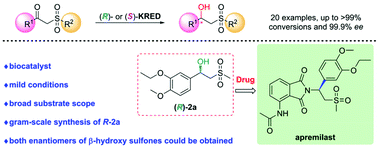 Graphical abstract: Efficient synthesis of an apremilast precursor and chiral β-hydroxy sulfones via ketoreductase-catalyzed asymmetric reduction