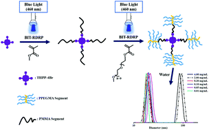 Graphical abstract: Photocontrolled bromine–iodine transformation reversible-deactivation radical polymerization: facile synthesis of star copolymers and unimolecular micelles