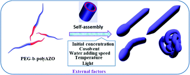 Graphical abstract: Morphological modulation of azobenzene-containing tubular polymersomes