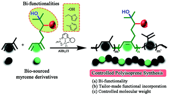 Graphical abstract: Cobalt catalysed controlled copolymerization: an efficient approach to bifunctional polyisoprene with enhanced properties