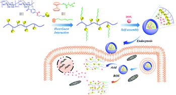 Graphical abstract: Facile construction of noncovalent graft copolymers with triple stimuli-responsiveness for triggered drug delivery