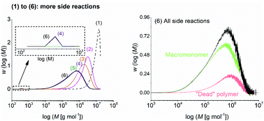 Graphical abstract: Impact of side reactions on molar mass distribution, unsaturation level and branching density in solution free radical polymerization of n-butyl acrylate under well-defined lab-scale reactor conditions